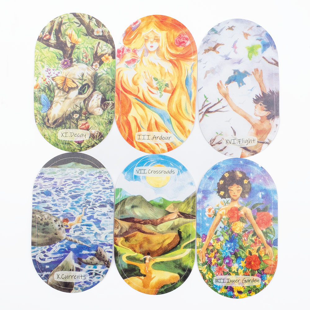 Tarjeta de oráculo para niños  - Board Game Wild Wild reseña y precio