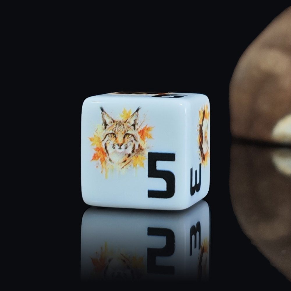 12 dados acrílicos D6 de 16 mm - Board Game Wild Wild reseña y precio